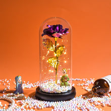 Load image into Gallery viewer, Beauty and The Beast Preserved Roses In Glass Galaxy Rose Flower LED Light