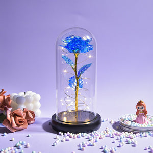 Beauty and The Beast Preserved Roses In Glass Galaxy Rose Flower LED Light