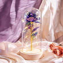 Load image into Gallery viewer, Beauty and The Beast Preserved Roses In Glass Galaxy Rose Flower LED Light