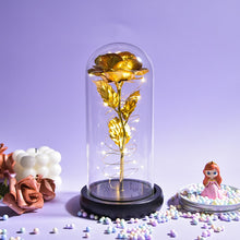 Load image into Gallery viewer, Beauty and The Beast Preserved Roses In Glass Galaxy Rose Flower LED Light