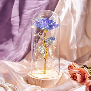 Beauty and The Beast Preserved Roses In Glass Galaxy Rose Flower LED Light