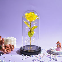 Load image into Gallery viewer, Beauty and The Beast Preserved Roses In Glass Galaxy Rose Flower LED Light