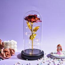 Load image into Gallery viewer, Beauty and The Beast Preserved Roses In Glass Galaxy Rose Flower LED Light