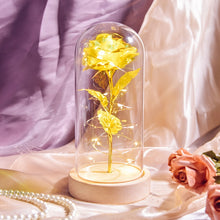 Load image into Gallery viewer, Beauty and The Beast Preserved Roses In Glass Galaxy Rose Flower LED Light