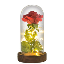 Load image into Gallery viewer, Beauty and The Beast Preserved Roses In Glass Galaxy Rose Flower LED Light