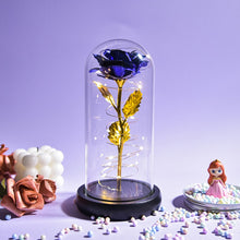 Load image into Gallery viewer, Beauty and The Beast Preserved Roses In Glass Galaxy Rose Flower LED Light