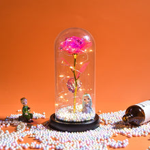 Load image into Gallery viewer, Beauty and The Beast Preserved Roses In Glass Galaxy Rose Flower LED Light