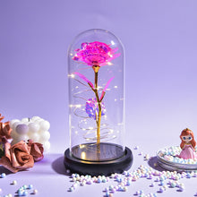 Load image into Gallery viewer, Beauty and The Beast Preserved Roses In Glass Galaxy Rose Flower LED Light