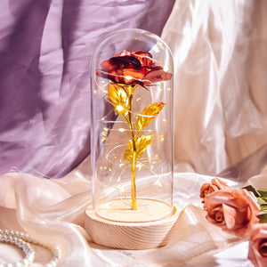 Beauty and The Beast Preserved Roses In Glass Galaxy