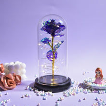 Load image into Gallery viewer, Beauty and The Beast Preserved Roses In Glass Galaxy Rose Flower LED Light