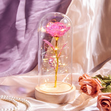 Load image into Gallery viewer, Beauty and The Beast Preserved Roses In Glass Galaxy Rose Flower LED Light