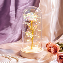 Load image into Gallery viewer, Beauty and The Beast Preserved Roses In Glass Galaxy Rose Flower LED Light