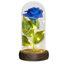 Load image into Gallery viewer, Beauty and The Beast Preserved Roses In Glass Galaxy Rose Flower LED Light