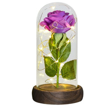 Load image into Gallery viewer, Beauty and The Beast Preserved Roses In Glass Galaxy Rose Flower LED Light