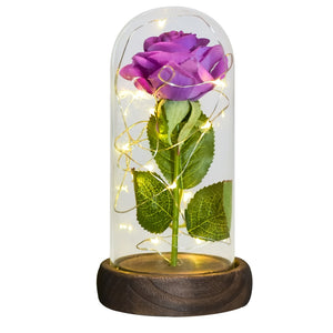 Beauty and The Beast Preserved Roses In Glass Galaxy Rose Flower LED Light