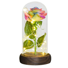 Load image into Gallery viewer, Beauty and The Beast Preserved Roses In Glass Galaxy Rose Flower LED Light