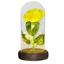 Load image into Gallery viewer, Beauty and The Beast Preserved Roses In Glass Galaxy Rose Flower LED Light