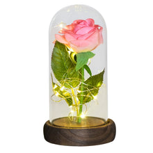 Load image into Gallery viewer, Beauty and The Beast Preserved Roses In Glass Galaxy Rose Flower LED Light