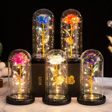 Load image into Gallery viewer, Beauty and The Beast Preserved Roses In Glass Galaxy Rose Flower LED Light