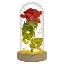 Load image into Gallery viewer, Beauty and The Beast Preserved Roses In Glass Galaxy Rose Flower LED Light