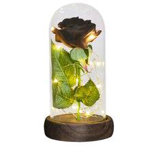 Load image into Gallery viewer, Beauty and The Beast Preserved Roses In Glass Galaxy Rose Flower LED Light