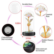 Load image into Gallery viewer, Beauty and The Beast Preserved Roses In Glass Galaxy Rose Flower LED Light