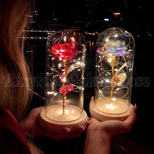 Load image into Gallery viewer, Beauty and The Beast Preserved Roses In Glass Galaxy Rose Flower LED Light