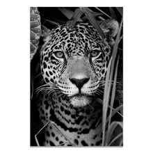 Load image into Gallery viewer, Animal Canvas Painting Wall art
